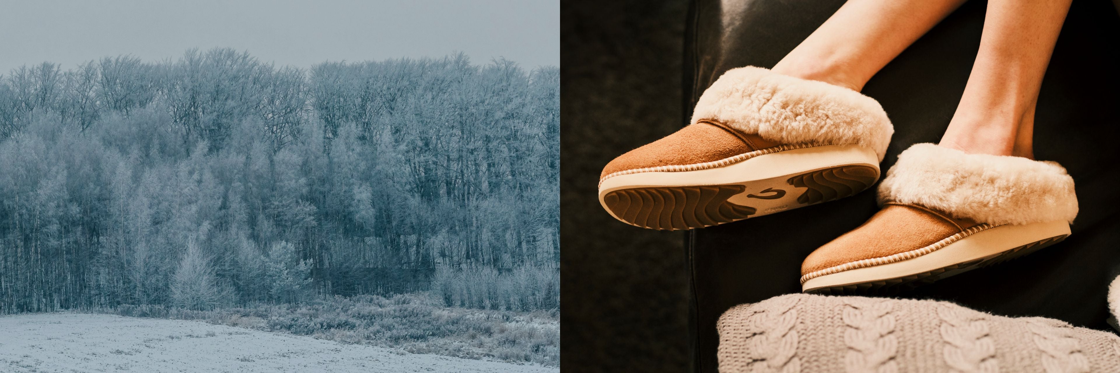 fallback text for an image